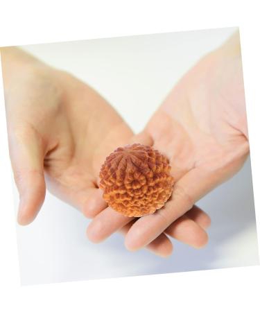 Lurrose 4-Piece Massage Globe Set | Baoding Sphere Hand Exercise & Meditation Balls | Natural Wooden Yoga Fitness Collection - Buy Online on GoSupps.com
