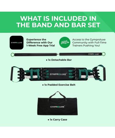 Gymproluxe Original Portable Gym - 90KG Resistance Band Set for Home Workout - Multi Gym Fitness Equipment for Men and Women - Buy Online on GoSupps.com