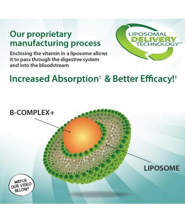 Aurora Nutrascience Mega-Liposomal B-Complex+ | Organic Fruit 16 fl oz - Superior Absorption - Buy Online on GoSupps.com