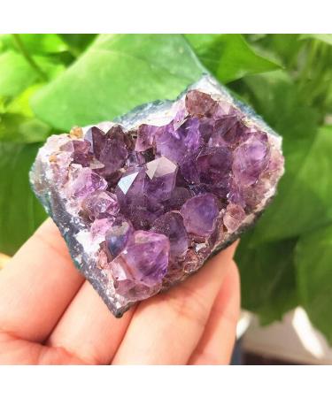 Natural Amethyst Cluster Crystal Cluster Quartz Crystal Stone Natural Luster (Size : 200-230g) - Buy Online on GoSupps.com