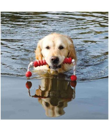 Dog Activity Mot-Long Floats - Durable 20 cm & 42 cm Dog Toys for Fun Playtime | International Shipping Available - Buy Online on GoSupps.com