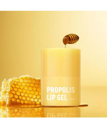 Nourishing Lips Butter Moisturising Lip Balm Propolis Lip Gel Natural Lip Care Hydrating Lip Balm For Woman And Girl - Buy Online on GoSupps.com