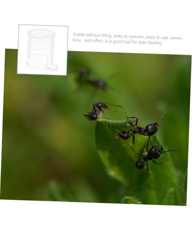Minkissy 5pcs Ant Farm Habitat - Water Feeder & Ant Feeding Castle - Science Ant Colony Nest Box (2.8x2.5cm) - Buy Online on GoSupps.com