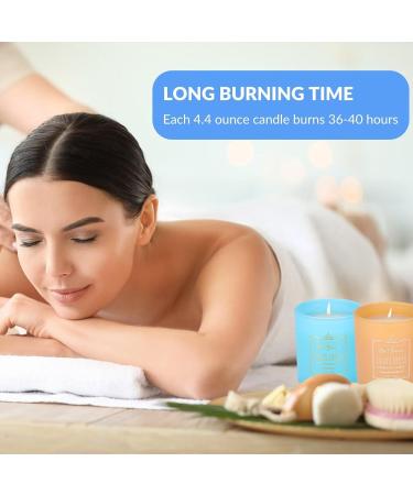 HOME & RELAX Lime & Mandarin Fragrance Candles | Scented Gifts for Women | 60H Burn Time Wood Lid Perfect for Home & Stress Relief - Buy Online on GoSupps.com