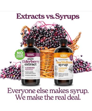 Norm's Farms Elderberry Extract & BeeWellness Syrup w/Pure Honey Bundle 2PK - Immune Support Elderberry Syrup for Kids & Adults - Made in USA Natural Ingredients Vegan Gluten-Free Non GMO (8 Oz) Elderberry Extract + Bee  - Buy Online on GoSupps.com