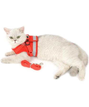 Ranphy Breakproof Cat Dishes & Reflective Chest Harness for Small Cats - Soft Fabric Adjustable (Red 44 cm) - Buy Online on GoSupps.com