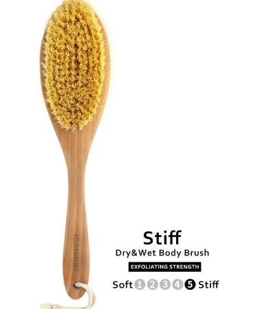 ICANdOIT Dry Brushing Body Brush - Long Handle for Cellulite and Lymphatic Drainage - Natural Agave Cactus Tampico Bristles - Men & Women - Buy Online on GoSupps.com