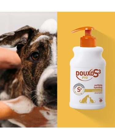 Douxo S3 PYO Shampoo 16.9 oz - Gentle and Effective Pet Shampoo - Buy Online on GoSupps.com