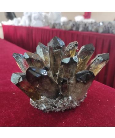 Crystal Hole Specimen Healed 1pcs Hot Reiki Quartz Cluster Natural Cairngorm Crystals Flowers Smoky Quartz Cluster As a Gift Crystal Hole (Size : 350-450g) - Buy Online on GoSupps.com