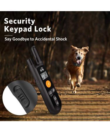 DOG CARE Dog Training Collar for Large Medium Dogs - Remote Shock Collar with Beep, Vibration, Static Modes - Adjustable Levels - Long Range Control - Black - Buy Online on GoSupps.com