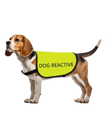 Reactive Dog Jacket Vest Dog Reactive Vest Dog Walking Slogan Warning Vest (Dog Reactive-Large)