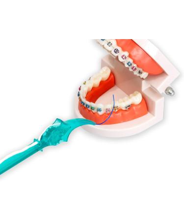 Interdental Threading System with Proxy Brush Inserts - Floss Under Bridges & Implants | Hard-to-Reach Oral Care - Buy Online on GoSupps.com