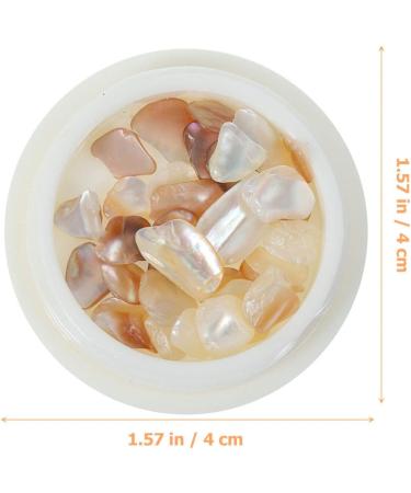 FRCOLOR 2 Boxes Nail Shell Decoration Nail Charms Christmas Charms for Nails Nail Decor Mariposas Decorativas Para Pared Christmas Decor Nail Art Small Gems Decorations Miss Manicure - Buy Online on GoSupps.com