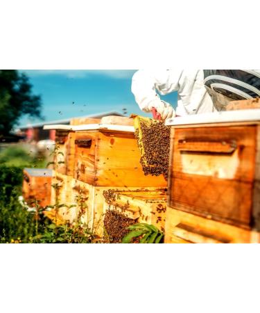 4x Cherry Blossom Honey 250g Caravella Fine Food Italian Spring Blossom Pure Raw Light amber colored with fruity floral notes Rich in antioxidants and vitamins Ideal for tea Cheese Breakfast - Buy Online on GoSupps.com