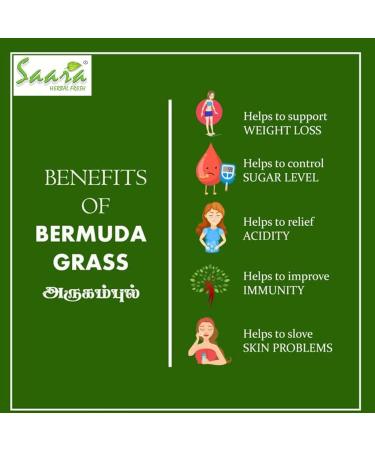 Rise Arugampul Powder Bermuda Grass Bahama Grass Indian Doab Doob Grass powder Useful for weight loss 100g (Pack of 1 X 100g) - Buy Online on GoSupps.com
