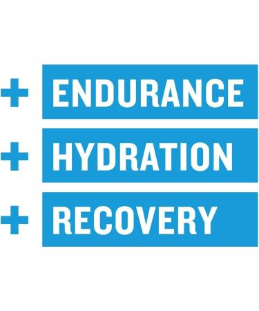 Iron Kingdom BCAA Plus Powder - Wild Berry | Amino Acids Electrolytes & Glutamine Supplement for Endurance & Recovery | 30 Servings - Buy Online on GoSupps.com