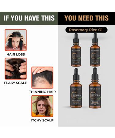 Organic Rosemary Oil for Hair Growth | 100% Pure Rice Water Blend | Thicker Stronger Hair - 50ml - Buy Online on GoSupps.com