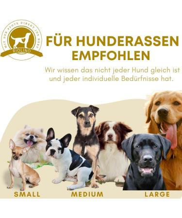 Durable Dog Chewing Tools: Natural Rubber Toys for Aggressive Chewers | Boredom Busters & Dental Care | Large Pink (1 Pack) - Buy Online on GoSupps.com