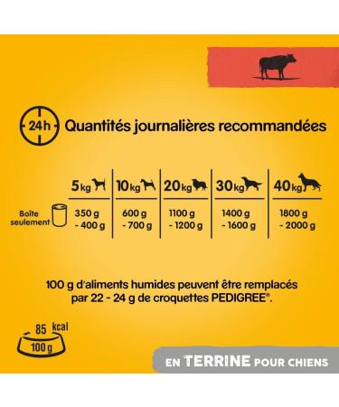 Pedigree Dog Meal - Terrine Boxes for Adult Dogs with Beef and Carrots - 12 x 800g - Buy Online on GoSupps.com