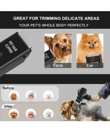 Professional Cat Grooming Clippers for Matted Hairs Low Noise Cat Dog Grooming Kit Rechargeable Pet Clippers Trimmer for Dogs Puppy Cats Rabbit - Buy Online on GoSupps.com
