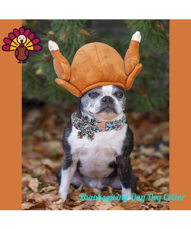 Unique Style Paws Dog Collar with Flower - Comfortable Cotton Collar for Small Dogs Perfect for Thanksgiving Festival - Metal Buckle Neck 10-16 in - Buy Online on GoSupps.com