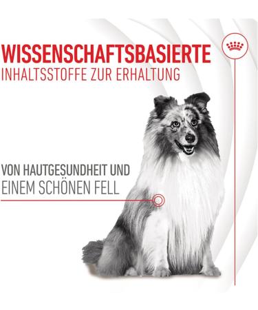 Royal Canin Skin Coat Chews | 240 g | Snacks for Adults Dogs of All Sizes & Breeds | In Resealable Bag | Developing with Veterinarians | With Poultry Protein - Buy Online on GoSupps.com
