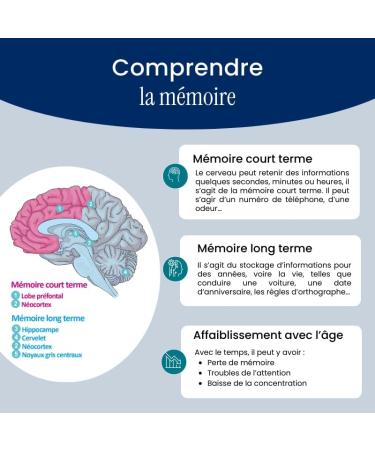 NaturAvignon | Ginkgo biloba | m moire | concentration I audition I compl ment alimentaire | fort dosage I vitamine B5 | 30 jours Audition & M moire - Buy Online on GoSupps.com