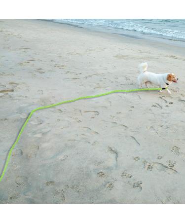 Vivifying Long Dog Lead 32FT Reflective Training Line for Camping Hiking Beach - Green - Buy Online on GoSupps.com