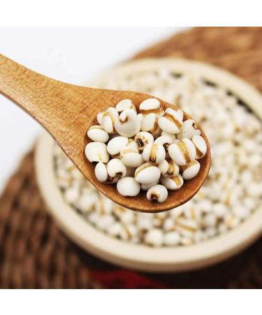 Job's Tear 500g Coix Seed Whole Grains Porridge Yi Mi Ren Jobs Tears  - Buy Online on GoSupps.com