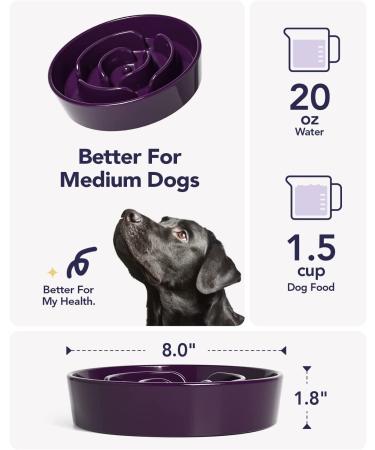 LE TAUCI Ceramic Slow Feeder Dog Bowl - Medium 1.5 Cups Maze Purple - Non-Slip & Chew-Resistant Puppy Food Bowl for Fast Eaters - Buy Online on GoSupps.com