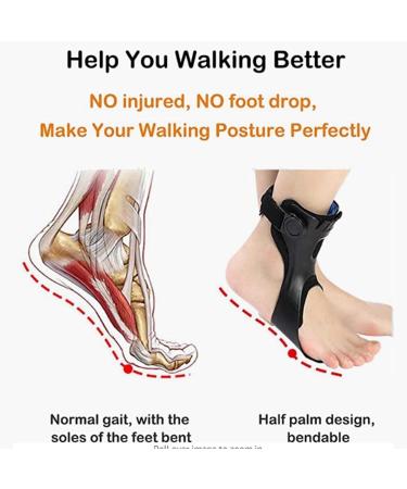Drop Orthosis Ankle Support Brace for Men & Women - Varus/Valgus Foot Support (A1 Left XL A2 Right - Buy Online on GoSupps.com