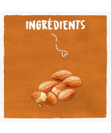 BJORG - Intense Almond Milk - Organic Vegetable Drink - Low in Saturated Fats - 3 Mini Bricks of 20 cl - Buy Online on GoSupps.com