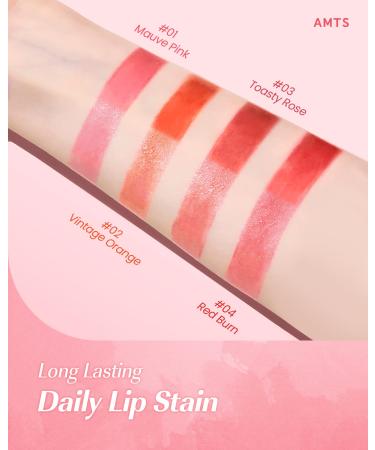AMTS Tinted Lip Balm 01 Mauve Pink | Hydrating Lip Butter - Moisturizing Lipstick | Korean Beauty Lip Tint for Dry, Cracked Lips - Buy Online on GoSupps.com