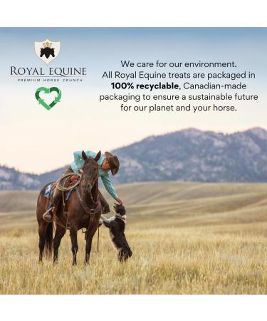 Royal Equine Premium Horse Crunch Healthy Horse Treats - Canadian-Sourced All-Natural Ingredients Crunchy Baked Cubes. GMO-Free No Preservatives Rye Barley Oats Base. (Sweet Banana) - Buy Online on GoSupps.com
