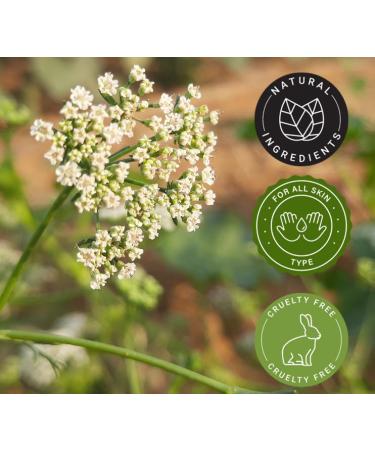 10 ml Ajowan Seed Essential Oil (100% Pure & Uncut) - GreenHealth - Buy Online on GoSupps.com