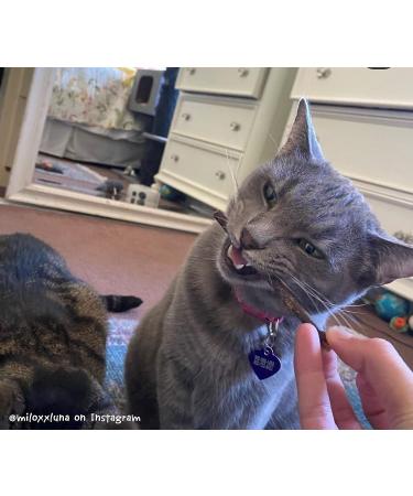 Meowijuana King Size Silvervine Sticks Bundle - Natural Matatabi Chew for Cats | High Potency Cat Treat | Dental Health | Catnip Alternative - Buy Online on GoSupps.com