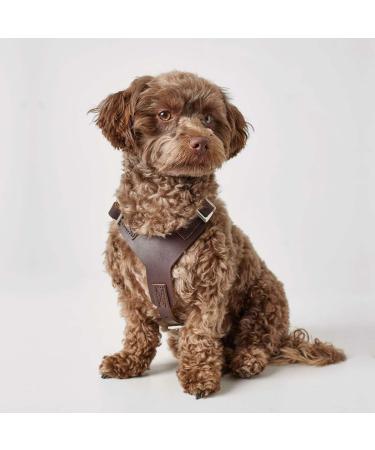 HUNTER Aalborg Leather Dog Harness - XS Dark Brown | Premium International Shipping - Buy Online on GoSupps.com