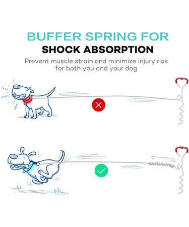 Snagle Paw 30ft Large Dog Leash - Heavy Duty Runner for Courtyards & Camping Up to 90lbs - Buy Online on GoSupps.com