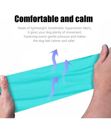 Buy ETDANE Dischers Intromer - Blue Recovery Suit & Sports Shirt for Hair Operations | Reduce Anxiety & Prevent Failure - Available in XXX-Large - Buy Online on GoSupps.com