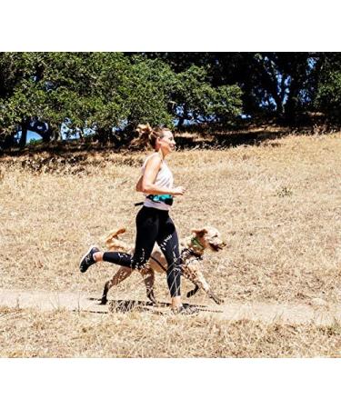 One Trail Hands Free Dog Lead | Durable Bungee Leash With No-Bounce Pack (Large Dog Black) Large Dog Black - Buy Online on GoSupps.com