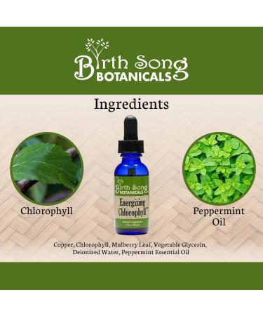 Birth Song Botanicals Energizing Chlorophyll Tincture, Super Concentrated Liquid Chlorophyll Drops, Herbal Energy Support Supplement and Internal Deodorizer, Mint Flavor 1oz Bottle - Buy Online on GoSupps.com