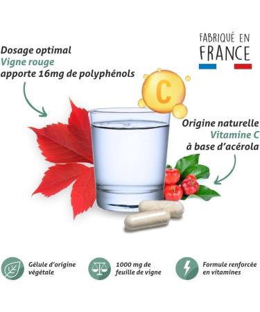 BLANCHE BRESSON - Phyto red vine - Circulation swollen legs - Red vines Acerola - 60 capsules - 30-day cure - Made in France - Buy Online on GoSupps.com