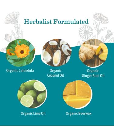 Earth Mama Ginger Fresh Deodorant | Safe for Sensitive Skin Pregnancy and Breastfeeding Contains Organic Ginger and Lime No Baking Soda or Aluminum 2.65-Ounce (2-Pack) NEW Ginger Fresh 3 Ounce (Pack of 2) - Buy Online on GoSupps.com