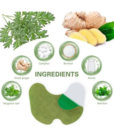 ACWOO Knee Pain Relief Patch 24PCS | Natural Wormwood Plaster for Arthritis Pain | Long Lasting Herbal Relief for Neck, Knee, and Muscle Joints - Buy Online on GoSupps.com