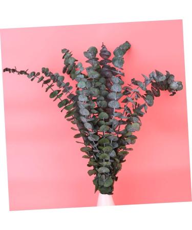Zerodeko 10pcs Flower Plants Wedding Bouquets Eucalyptus Branches Naturales Faux Eucalyptuses Faux Eucalyptus Leaves Eucalyptus Tree Leaves Fake Eucalyptus Christmas Decorations - Buy Online on GoSupps.com