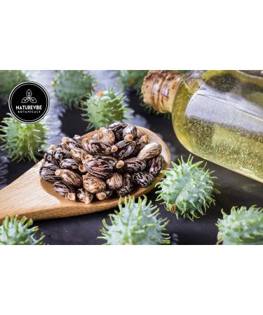 Naturevibe Botanicals Castor Oil 32oz - 100% Pure & Natural Castor Oil 32 Fl Oz (1 Pack) - Buy Online on GoSupps.com