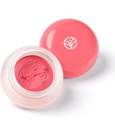 Natural Mousse Blush Easy to Blend Makeup Layering Long Lasting Cosmetic for Daily Use and Party - Buy Online on GoSupps.com