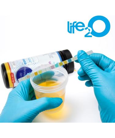14-Panel Urine Test Strips - 100ct Testing Kit for UTI Keto Protein & More | International Shipping - Buy Online on GoSupps.com