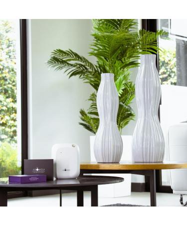 Smart Bluetooth Essential Oil Diffuser - Waterless Aromatherapy & Air Freshener for Home & Office - 1 500 SQFT Coverage with 150ml Bottle (White - Buy Online on GoSupps.com