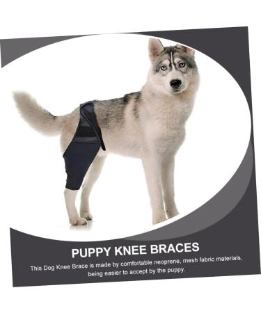 Toddmomy Pet Injury Knee Puppy Leg Brace Knee for Dogs Dog Knee Protectors Dog Leg Brace Dog Supplies Dog Knee Cover Dog Injured Knee Dog Leg Cover Pet Injury Supply S As Shown - Buy Online on GoSupps.com